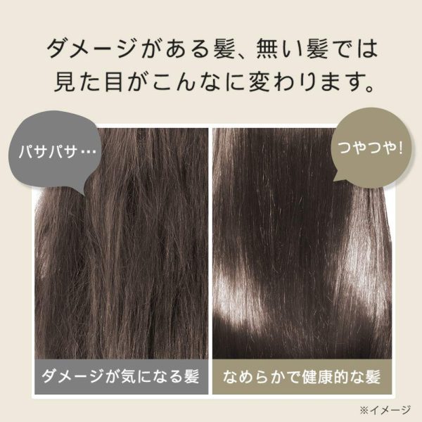 Botanist Japan Botanical Damage Care Treatment 460G Supply - Image 4