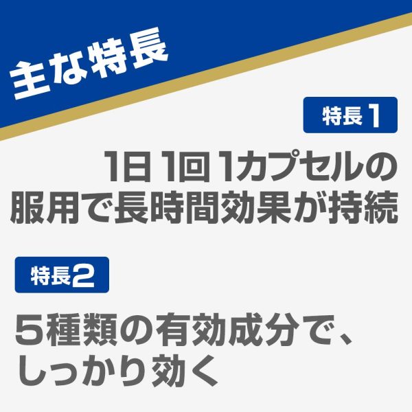 Aneron Cap 4 Capsules - Designated 2 Drugs From Japan For Cheap - Image 5