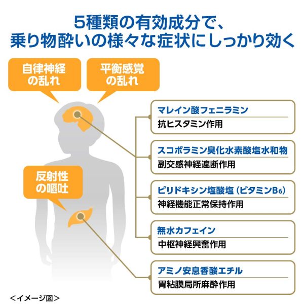 Aneron Cap 4 Capsules - Designated 2 Drugs From Japan For Cheap - Image 4