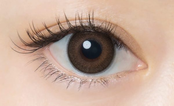 Flanmy One Day Color Contacts [30 Per Box] Pwr -01.00 Maple Chiffon - Japan Discount - Image 2